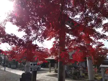 意冨布良神社(滋賀県)