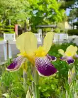 伊達神社の自然