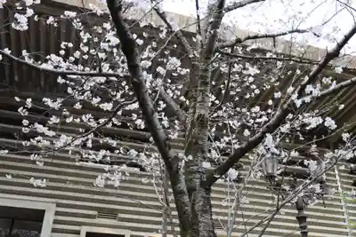 熱田神宮(愛知県)