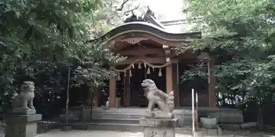 熊野神社の本殿・本堂