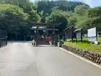 高尾山麓氷川神社の鳥居