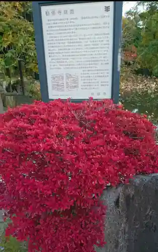 勧修寺(京都府)