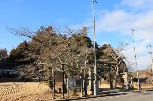鹿島大神宮の鳥居