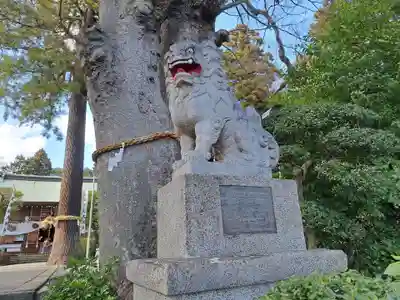 比々多神社(神奈川県)