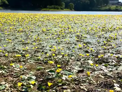 北竜湖弁財天の自然