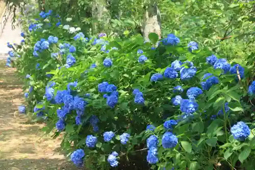 八幡神社の庭園