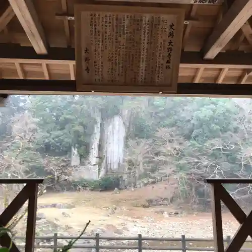 大野寺の自然