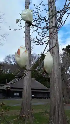 有珠善光寺の自然