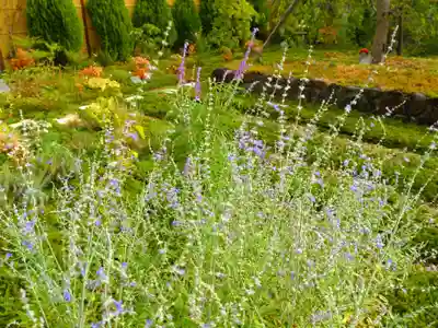 寿量山 速成寺(奈良県)