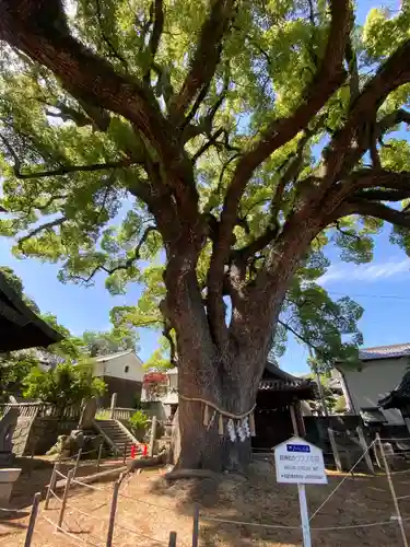 艮神社(広島県)