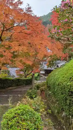 善峯寺(京都府)