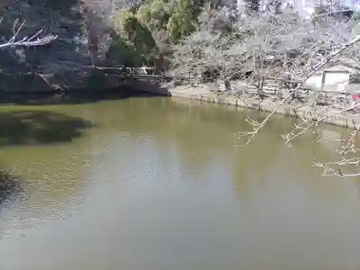安房神社(千葉県)
