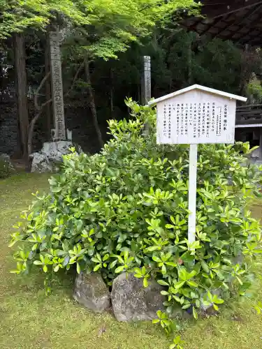 西教寺の{uncategorized: "未分類", other: "その他", undefined: "問題あり", building: "その他建物", grave: "お墓", sacred_gate: "鳥居", guardian: "狛犬", statue: "像", buddha: "仏像", history: "歴史", nature: "自然", garden: "庭園", animal: "動物", pagoda: "塔", temizu: "手水舎", mountain_gate: "山門・神門", sanctuary: "本殿・本堂", subordinate: "末社・摂社", art: "芸術", scenery: "景色", jizo: "地蔵", ema: "絵馬", goshuin: "御朱印", omikuji: "おみくじ", items: "授与品その他", amulet: "お守り", goshuincho: "御朱印帳", eats: "食事", festival: "お祭り", votive_dance: "神楽", shichigosan: "七五三参", wedding: "結婚式", experience: "体験その他", initially: "初詣", around: "周辺", anti_infection: "感染症対策"}