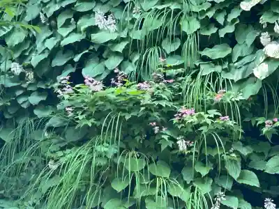 高龍神社(新潟県)