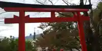 出雲大神宮の鳥居