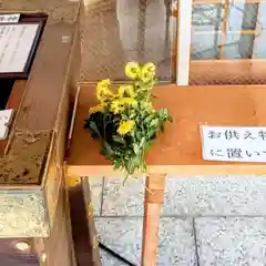 彌彦神社　(伊夜日子神社)(北海道)