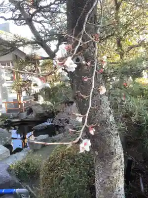 尾張猿田彦神社(愛知県)