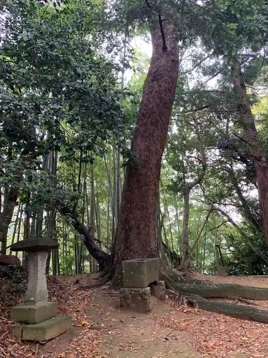 稲荷神社(千葉県)