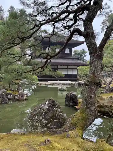 慈照寺（慈照禅寺・銀閣寺）(京都府)