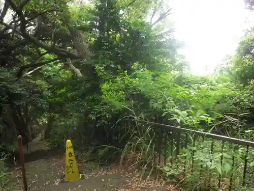 岩殿寺の自然