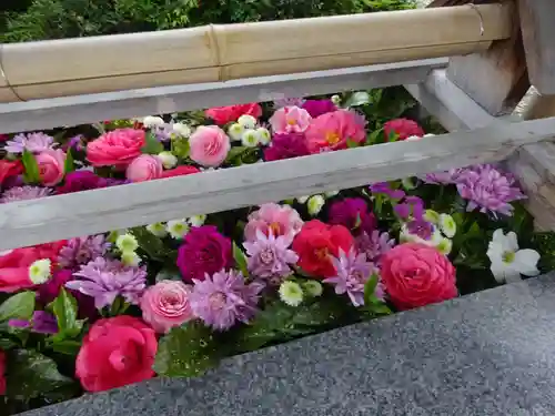 豊景神社の手水