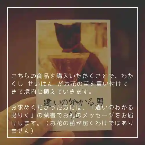 天王山 安楽寺(福井県)