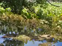 櫻宮神社(静岡県)