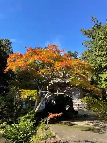 国上寺(新潟県)