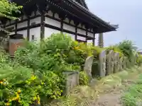 般若寺 ❁コスモス寺❁(奈良県)