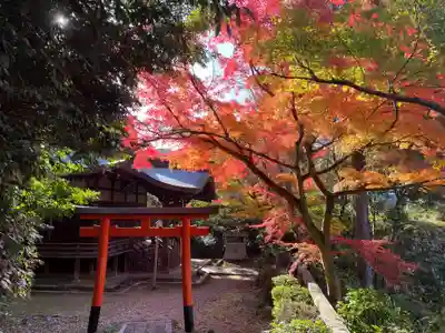 来迎院(京都府)