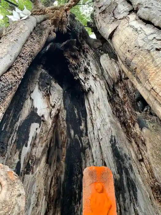 三ツ木神社の建物その他