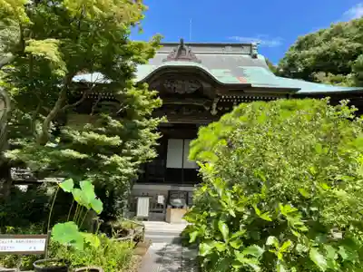 妙法寺の本殿・本堂