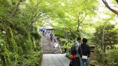 長谷寺のその他建物