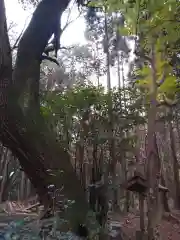 諏訪神社の建物その他