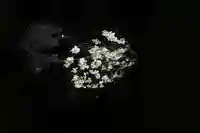 磐椅神社の景色