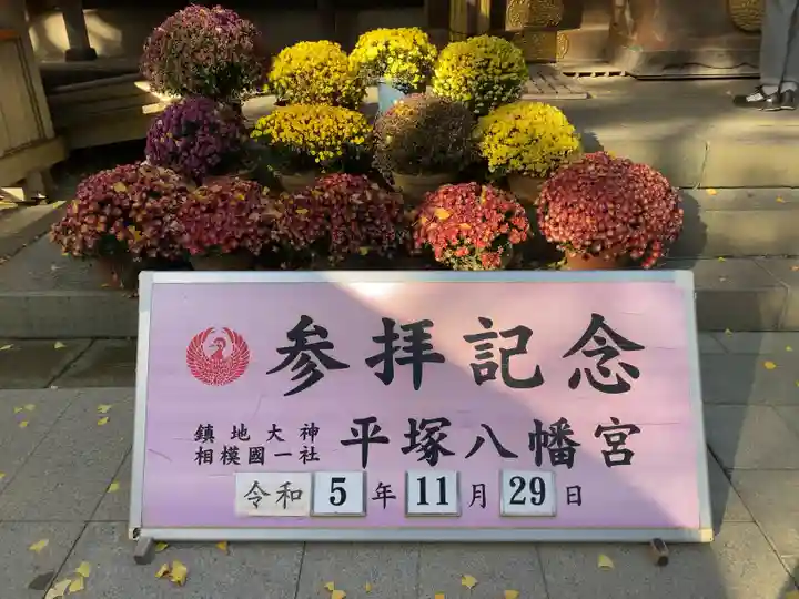 平塚八幡宮(神奈川県)