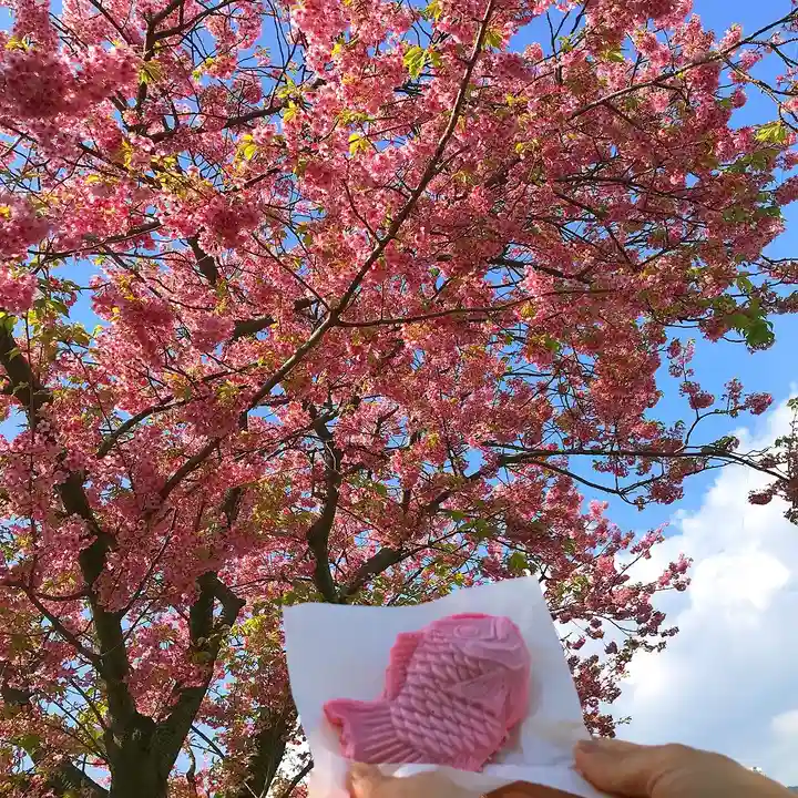 かっぱの寺 栖足寺の自然