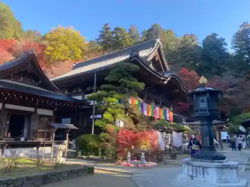岡寺（龍蓋寺）(奈良県)