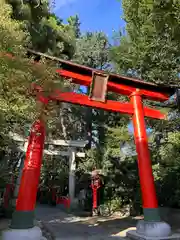 馬橋稲荷神社(東京都)