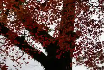 談山神社(奈良県)