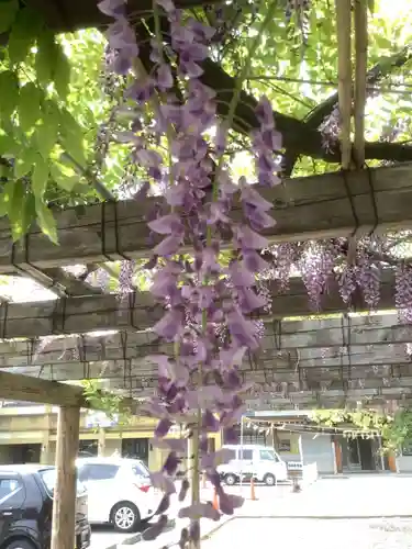 田縣神社の自然