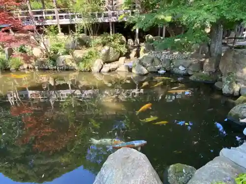 楽法寺（雨引観音）の庭園