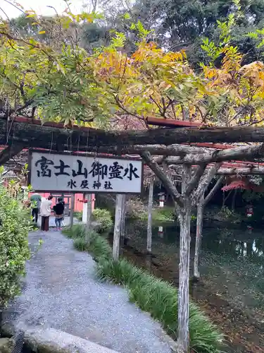 富士山本宮浅間大社(静岡県)