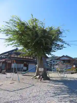 正妙寺(滋賀県)