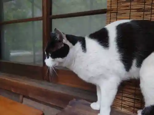 大綱金刀比羅神社(神奈川県)