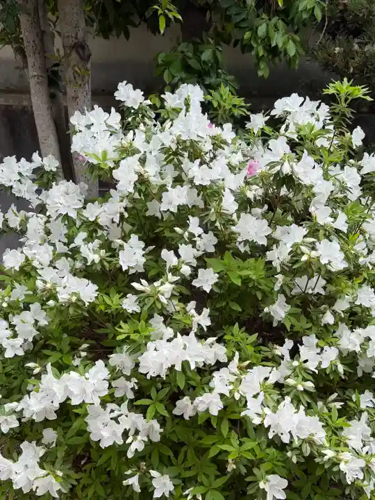 崇道天皇社(奈良県)