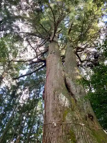 黒瀧神社(三重県)