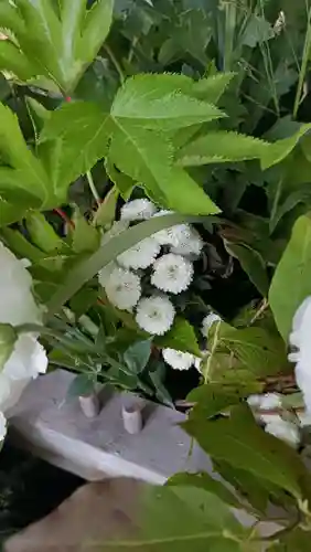 彌彦神社　(伊夜日子神社)(北海道)