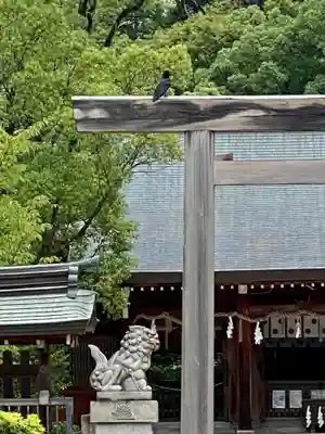 四條畷神社(大阪府)