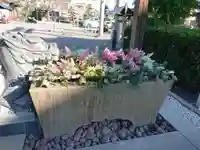 大歳神社の手水舎